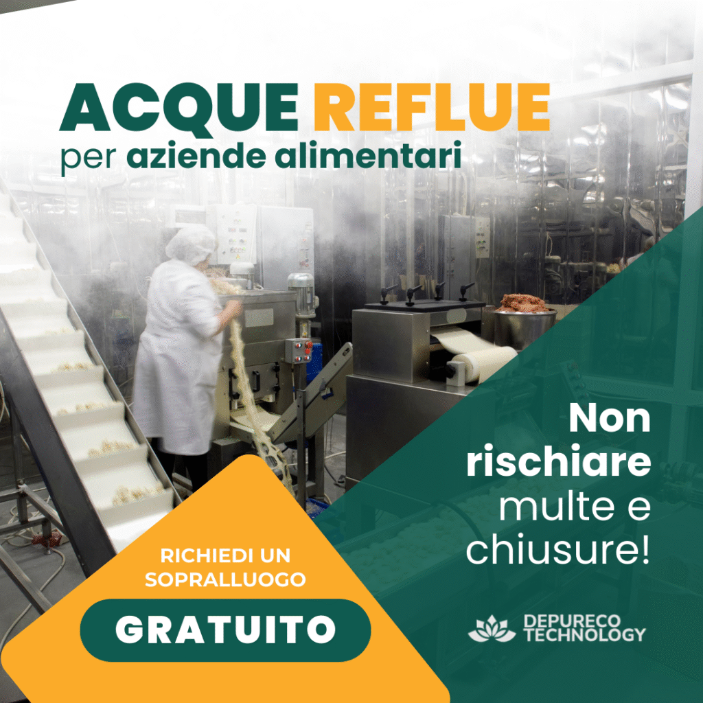 Acque Reflue - Azienda Alimentare 2